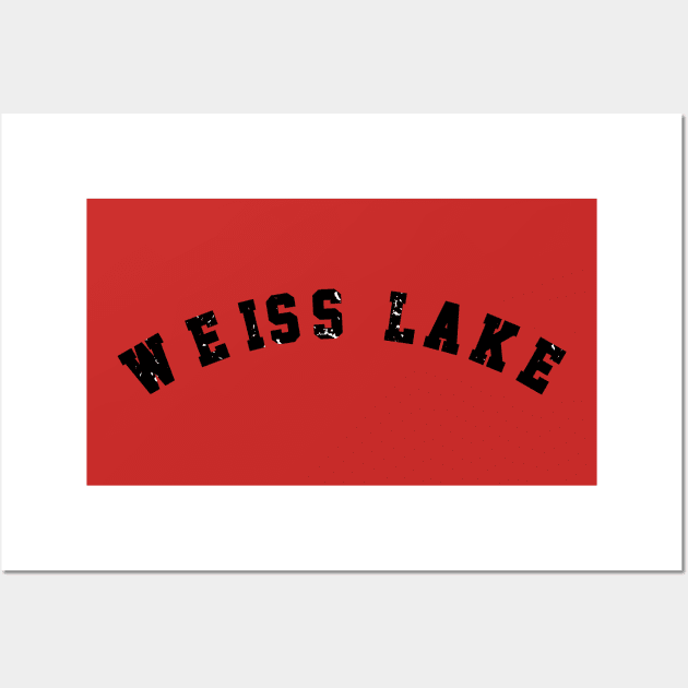 Weiss Lake Alabama Wall Art by soufyane